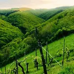 Lithos * Oberwesel