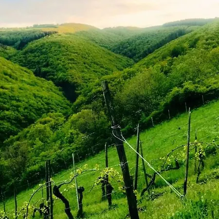 Lithos * Oberwesel