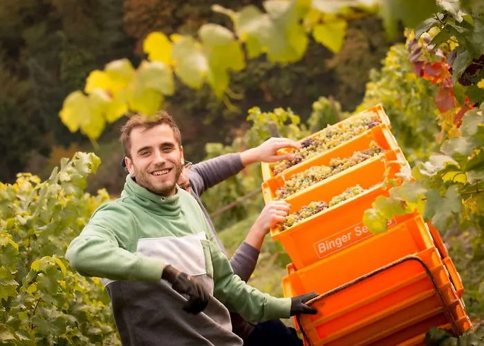 アパート Lithos *